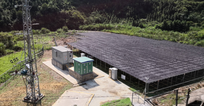 Microgrid Networks